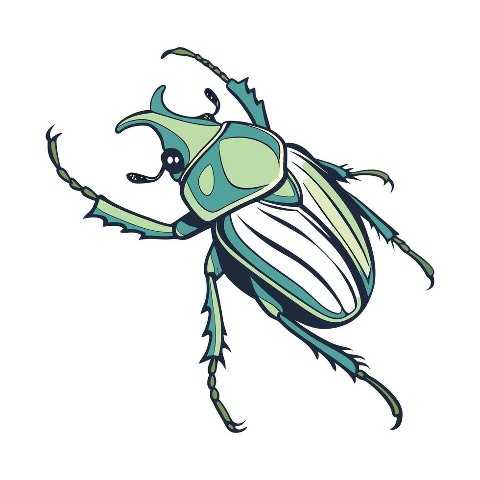 Creative Eudicella Gralli Graphic 2 vector