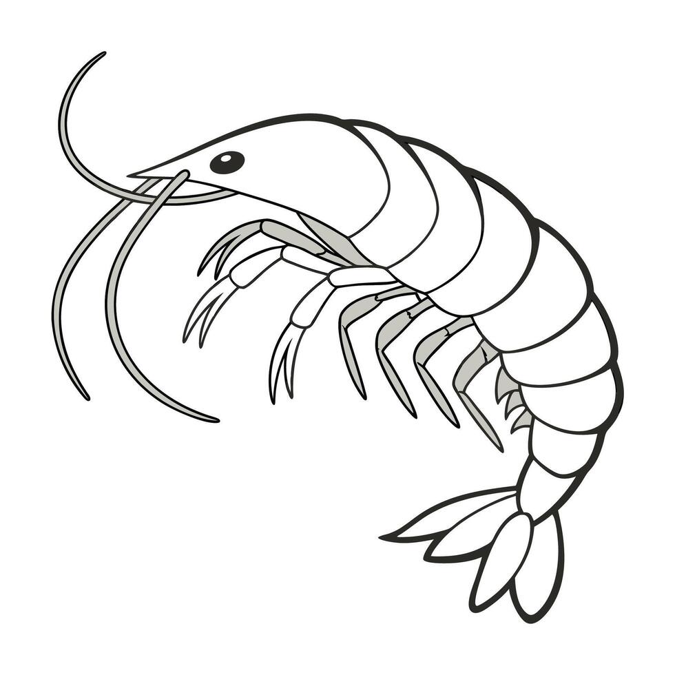 Eumecopoda Cyrtoscelis Design 1 vector