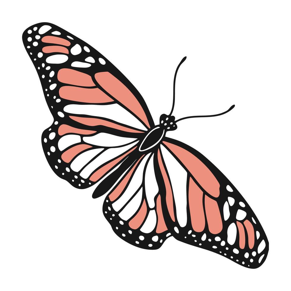 Stylish Euphoria Fulgida Beetle Illustration vector