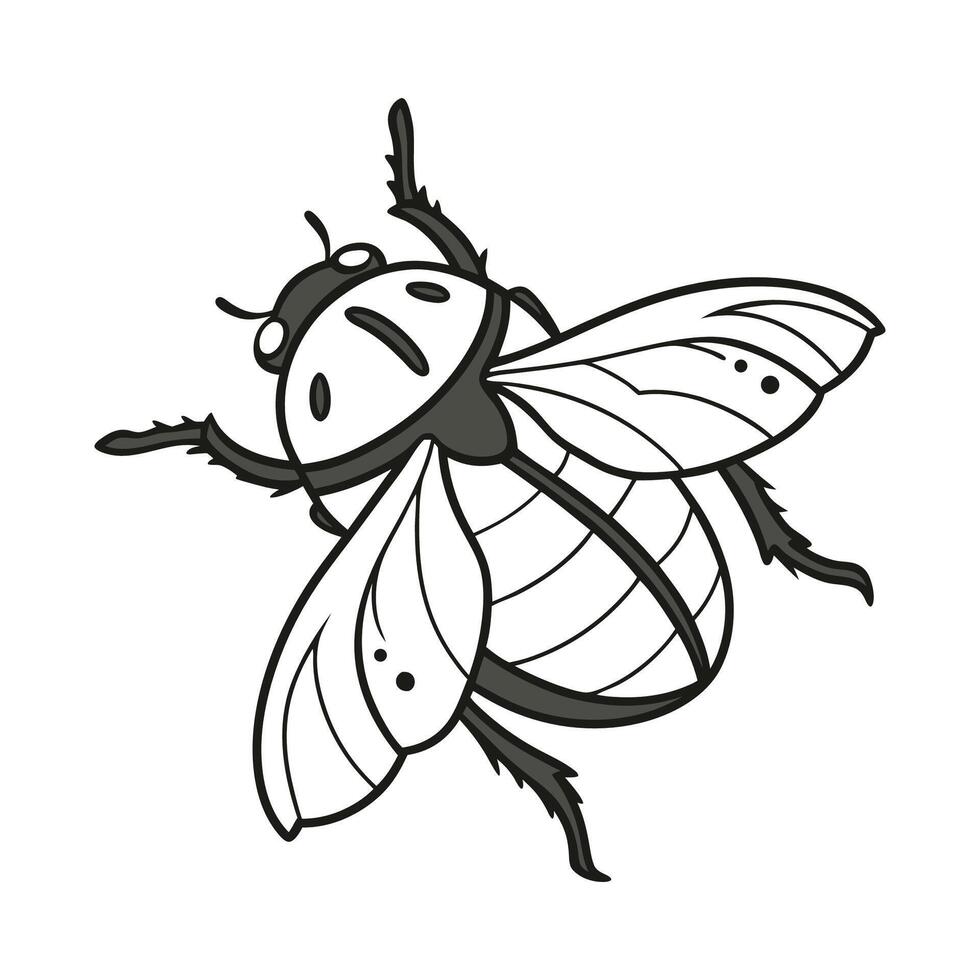 Eurygaster Bug Design 1 vector