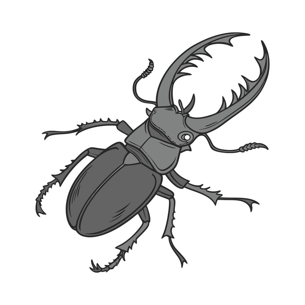 Stylish Eurycantha Calcarata Illustration vector