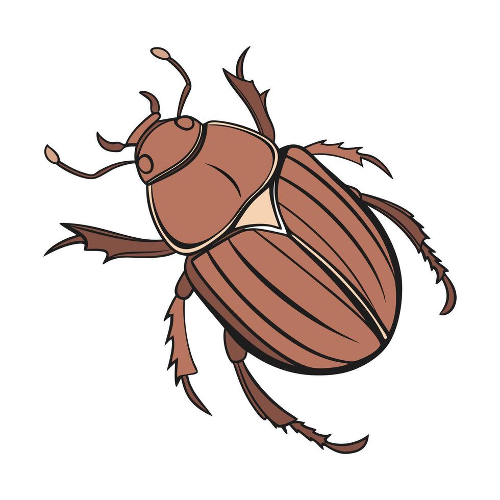 Eurygaster Bug Design 2 vector