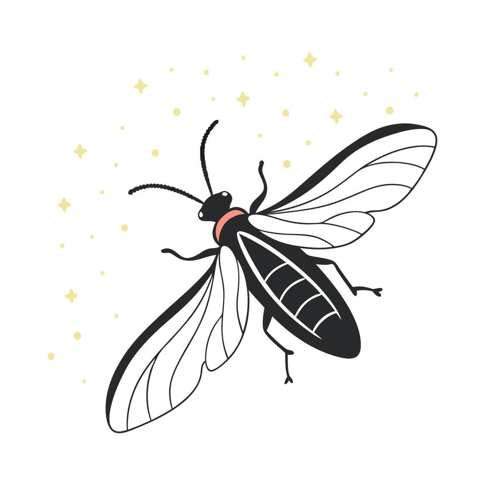 Beautiful Firefly Design 2 vector