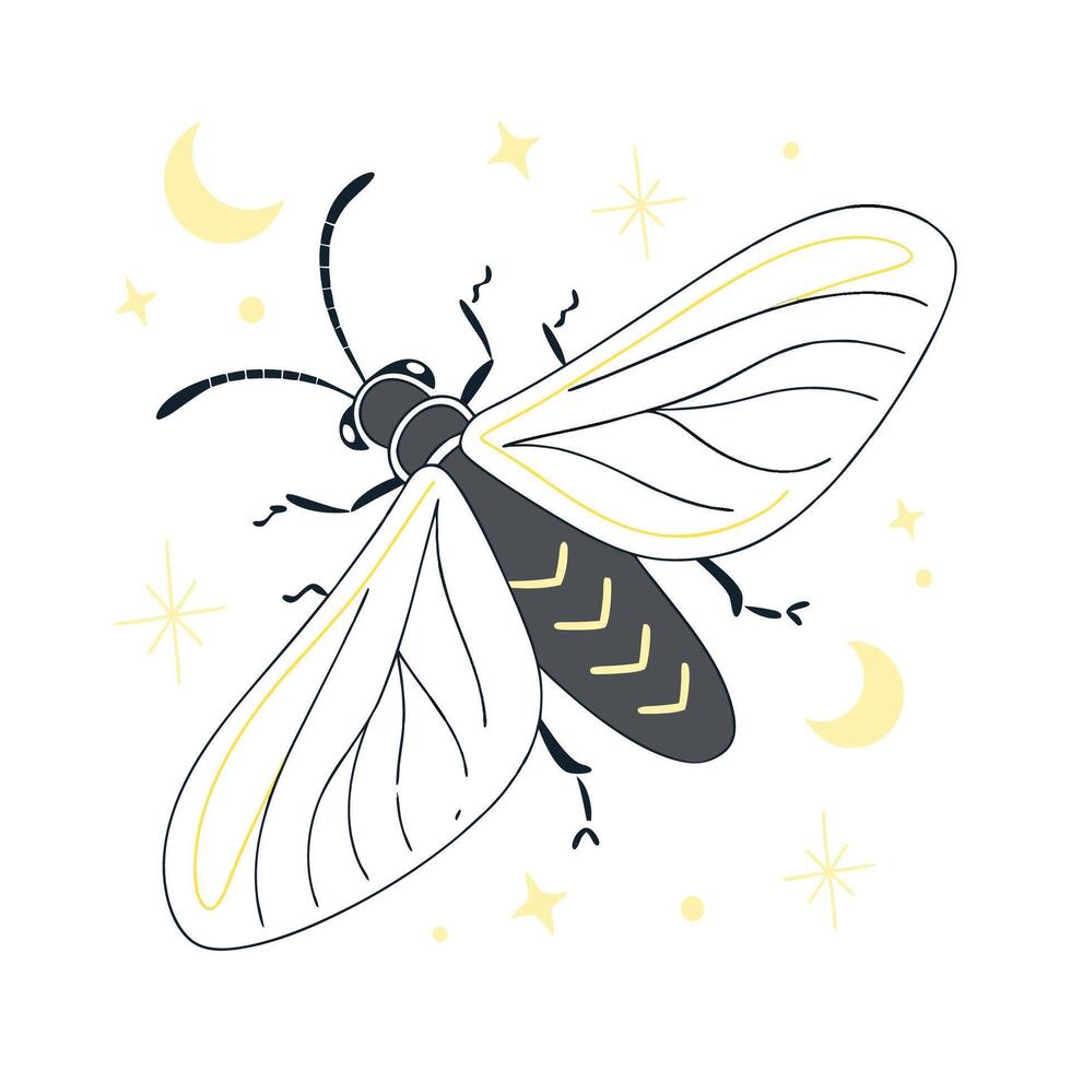 Colorful Firefly Design on a White vector