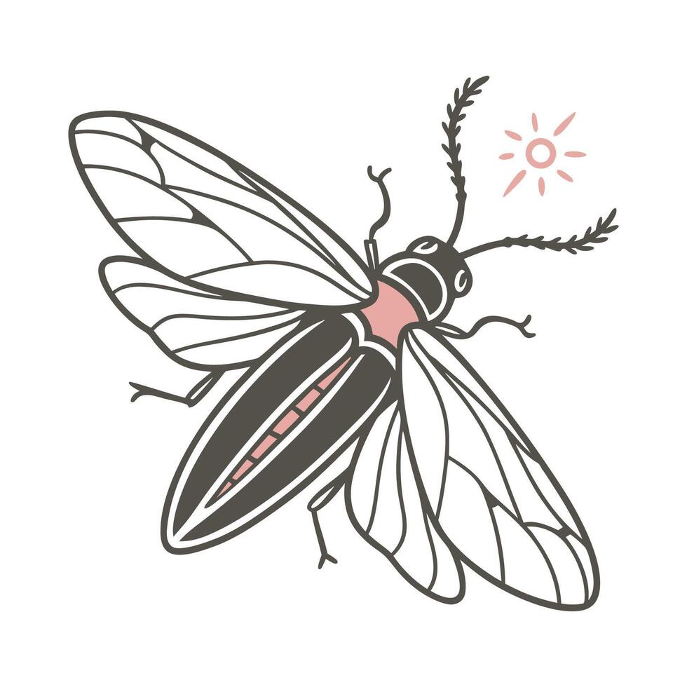 Stylish Firefly Illustration 4 vector