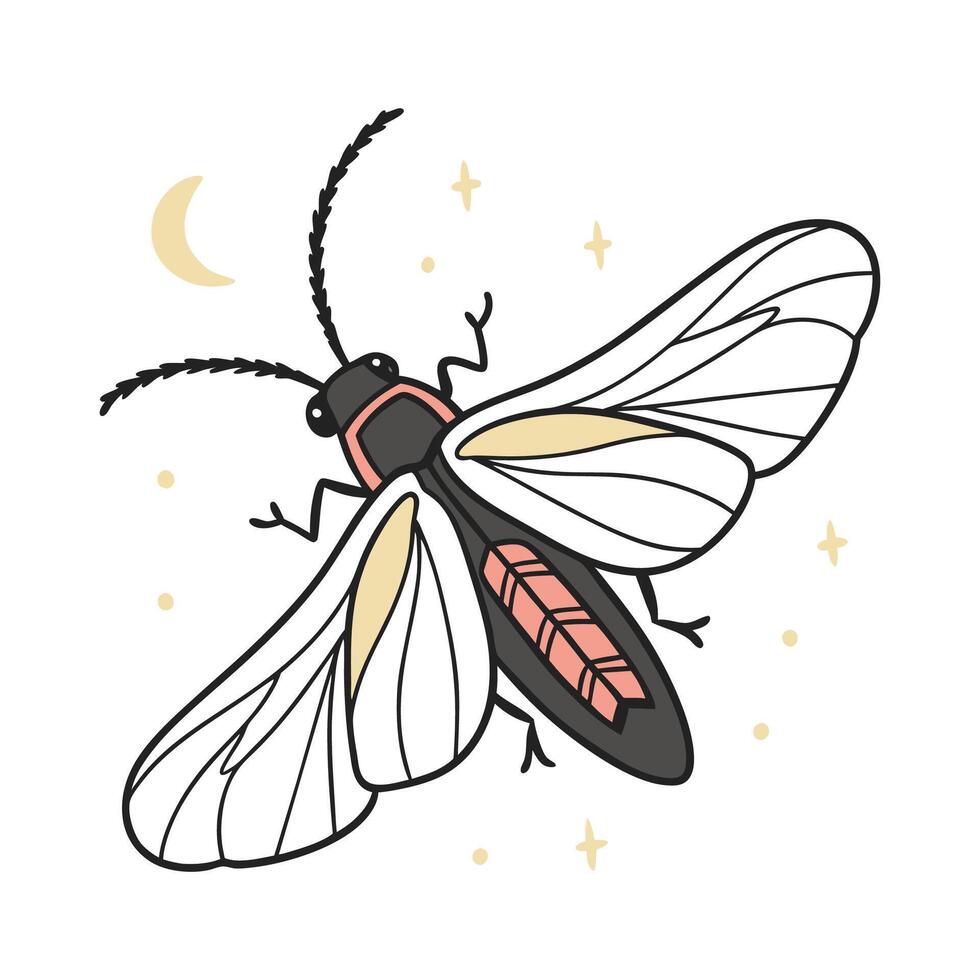 Firefly Design 5 on White Background vector