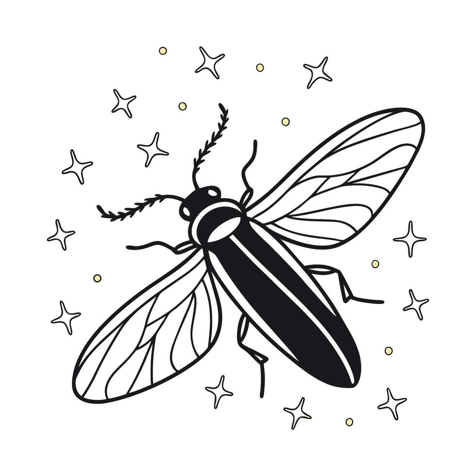 Creative Firefly Graphic 3 vector