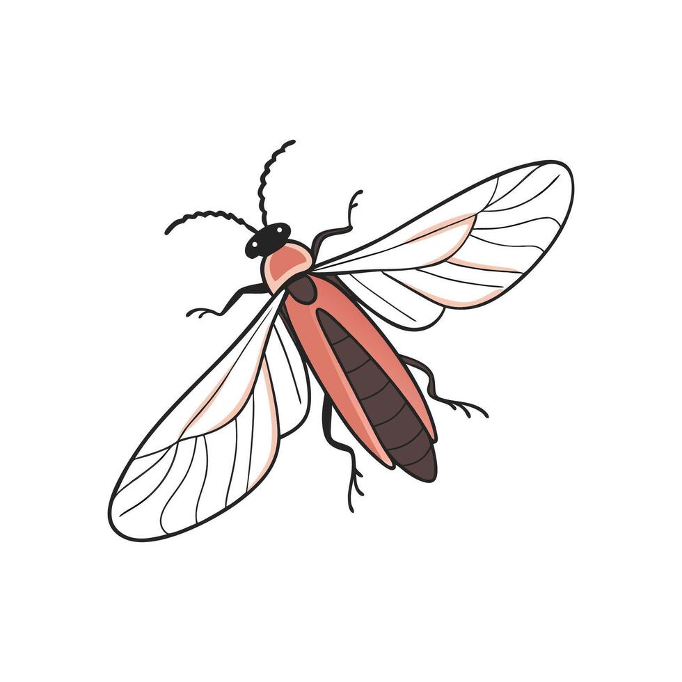 Firefly Design 6 on White Background vector