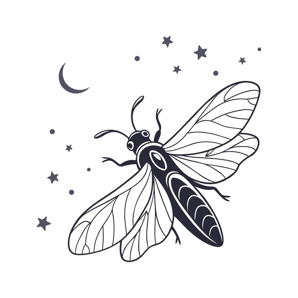 Realistic Firefly Art on White vector