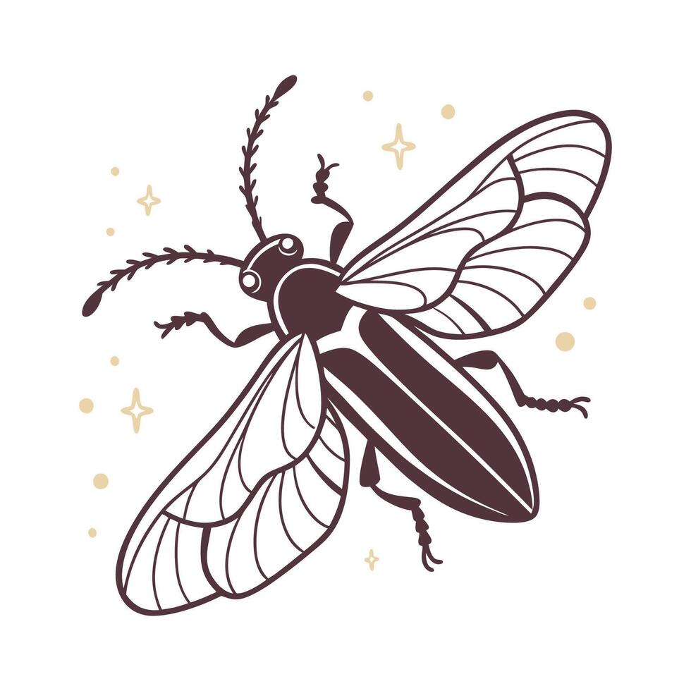 Firefly Design 7 on White Background vector
