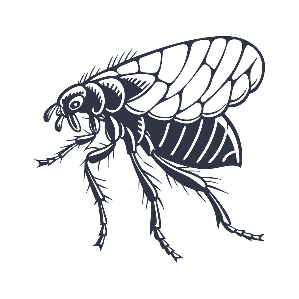 Flea Design 5 on White Background vector