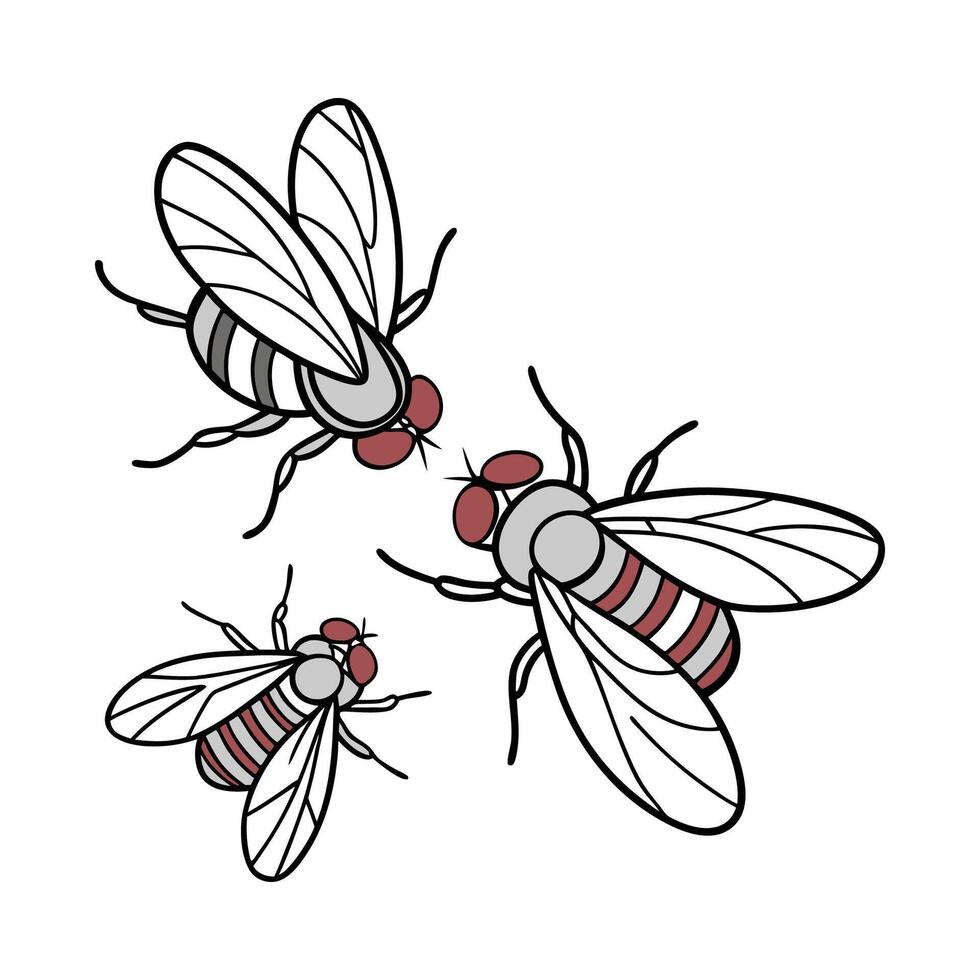 Beautiful Fruit Flies Design 5 vector