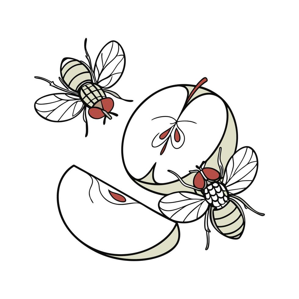 Creative Fruit Flies Graphic 2 vector