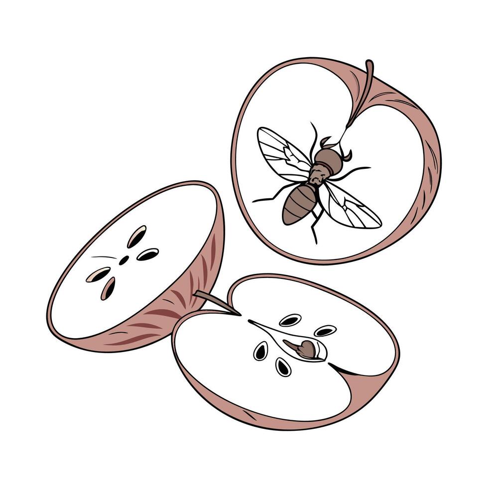 Creative Fruit Flies Graphic 7 vector