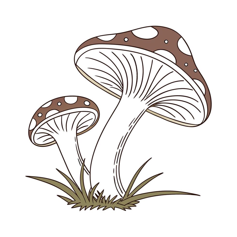 Gomphus Vulgatissimus Dragonfly Design 1 vector