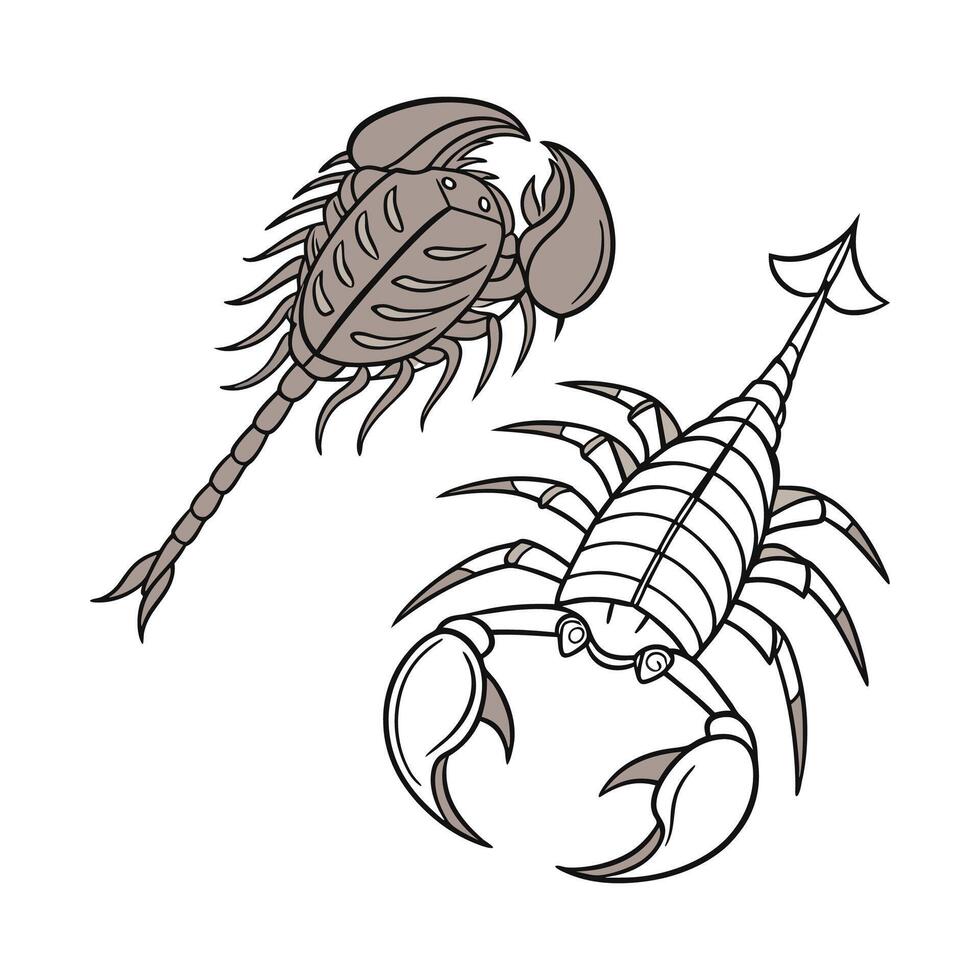 Stylish Gongylus Gongylodes Illustration 3 vector