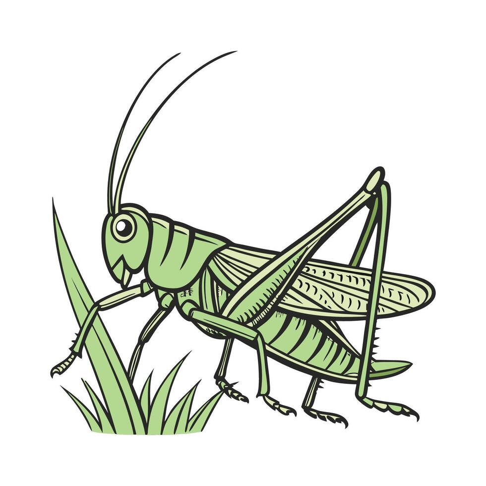 Grasshopper Design 3 on White Background vector