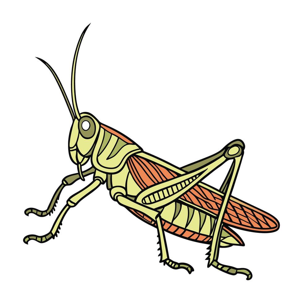 Beautiful Grasshopper Design on White vector
