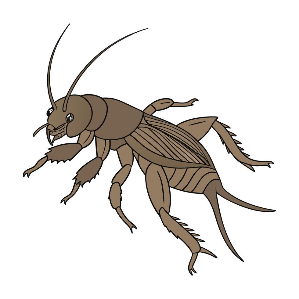 Gryllotalpa Design 1 vector
