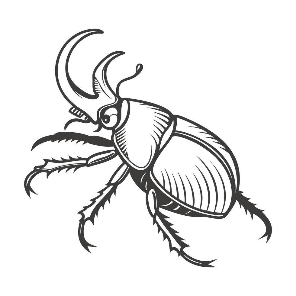 Gymnetis Beetle Design 1 vector