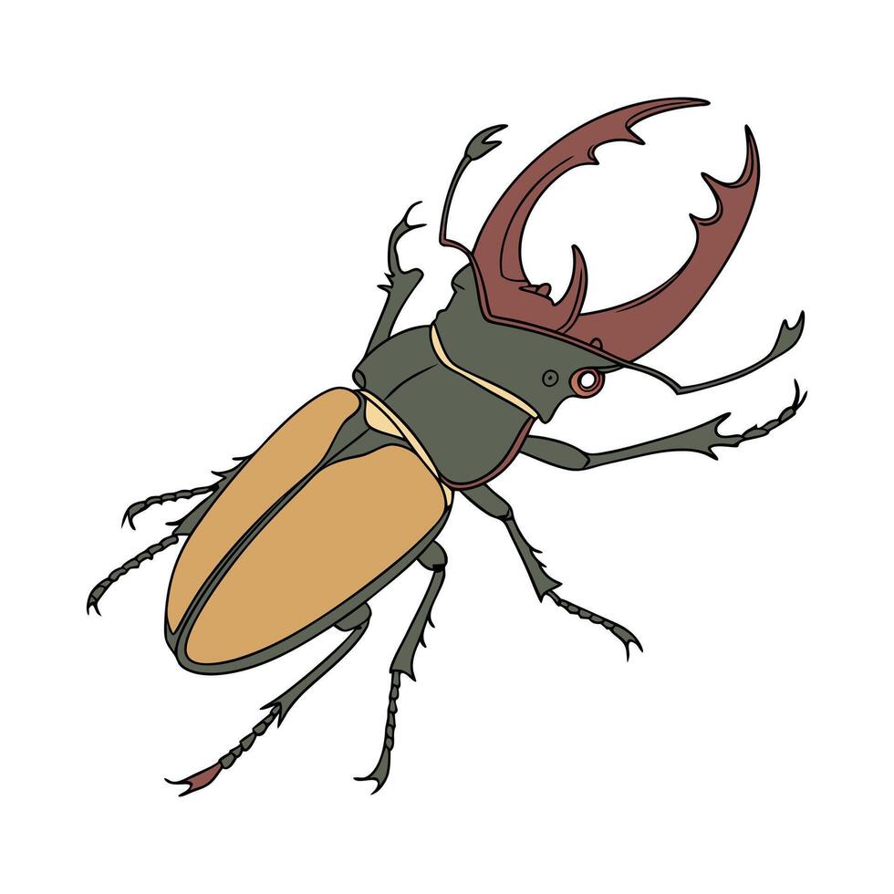 Homoderus Mellyi Design 1 vector