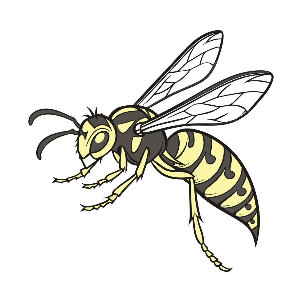 Creative Hornet Graphic 1 vector