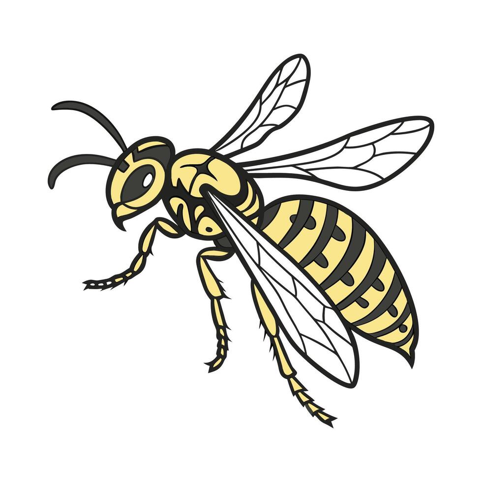Colorful Hornet Design on White vector
