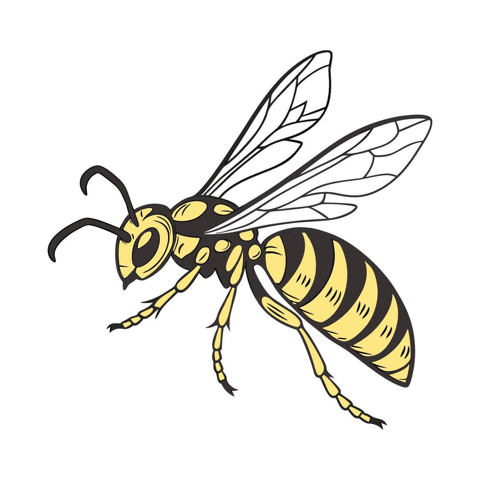 Creative Hornet Graphic 2 vector