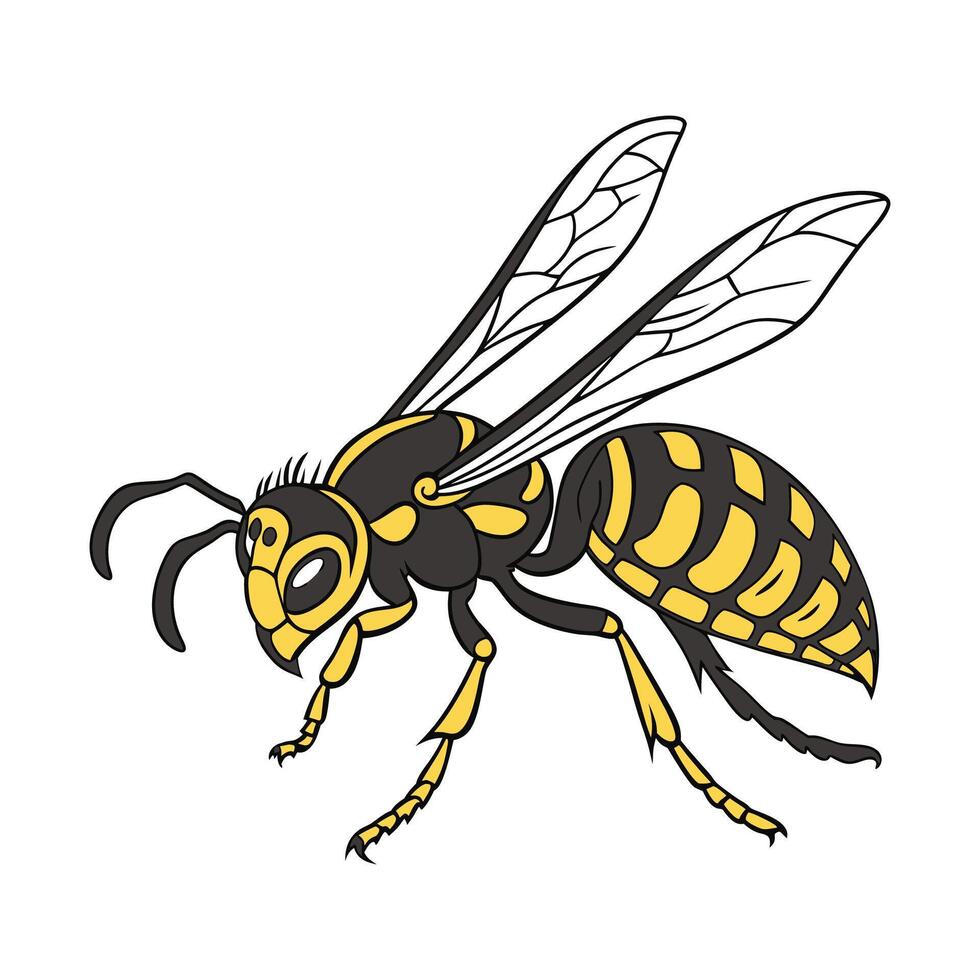 Hornet Art on a White Background vector