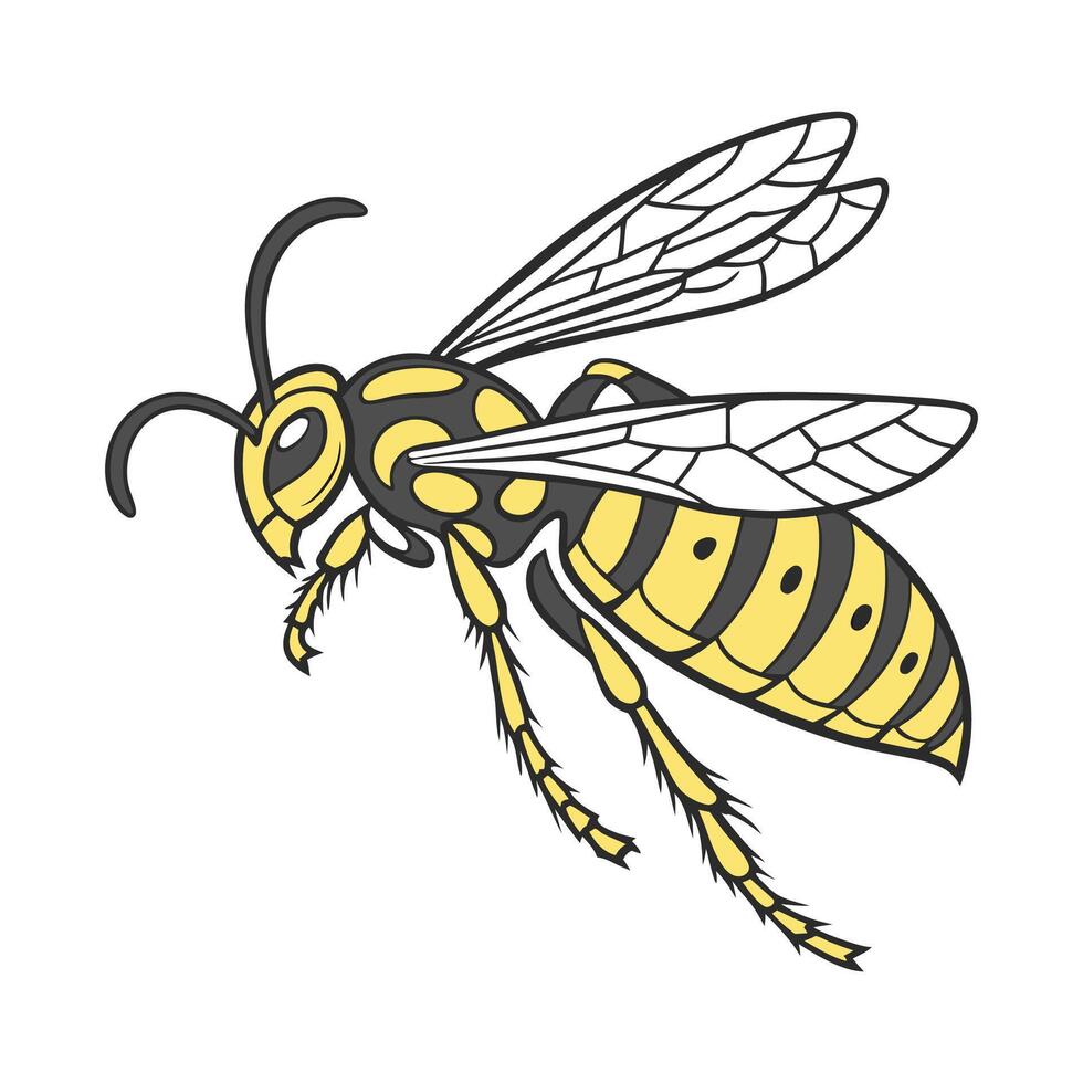 Stylish Hornet Graphic 3 vector
