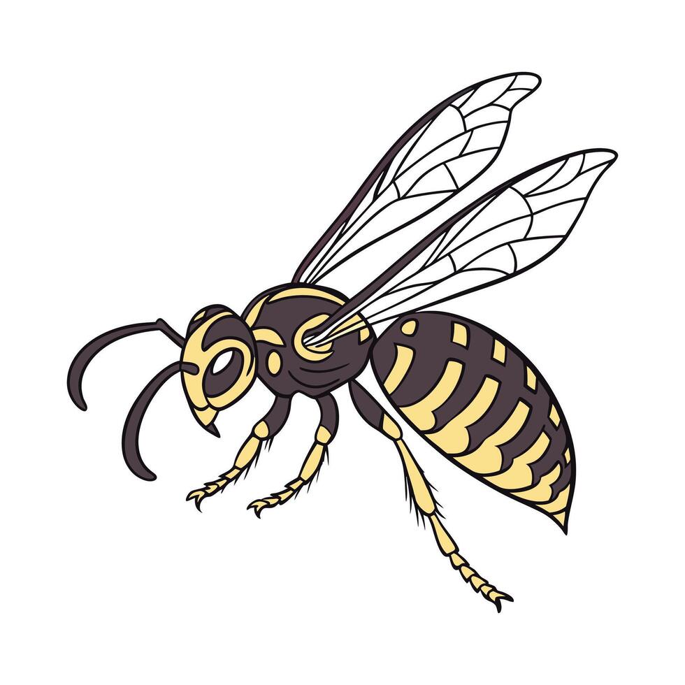 Creative Hornet Graphic 6 vector