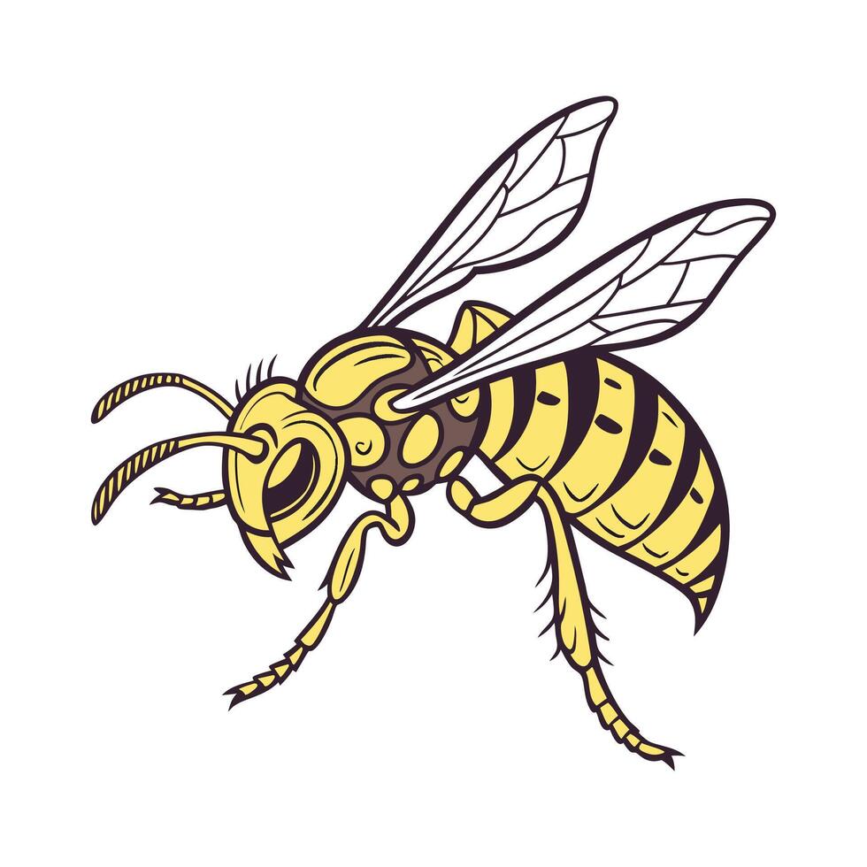 Hornet Design 8 on White Background vector