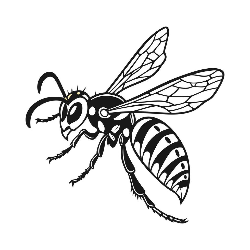 Beautiful Hornet Illustration White Background vector