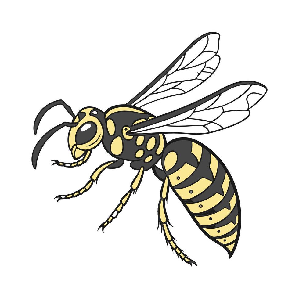 Beautiful Hornet Design on White vector