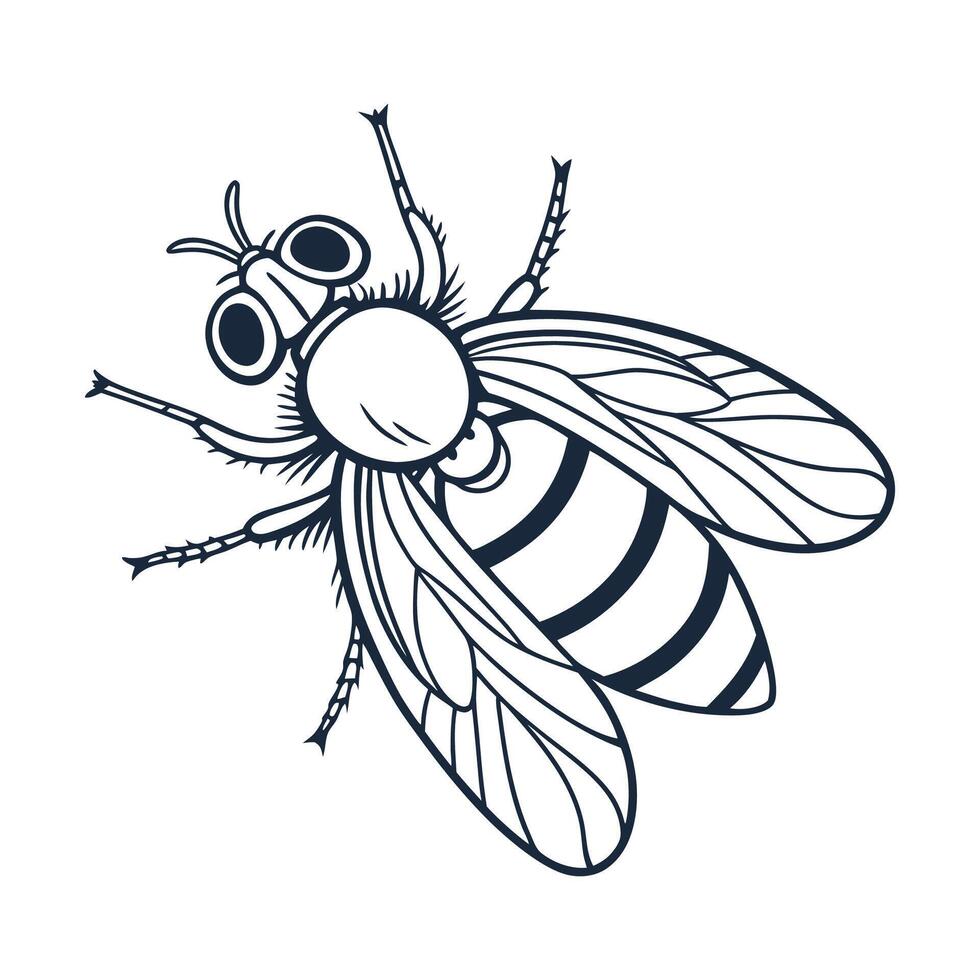 Beautiful Horsefly Design 2 vector
