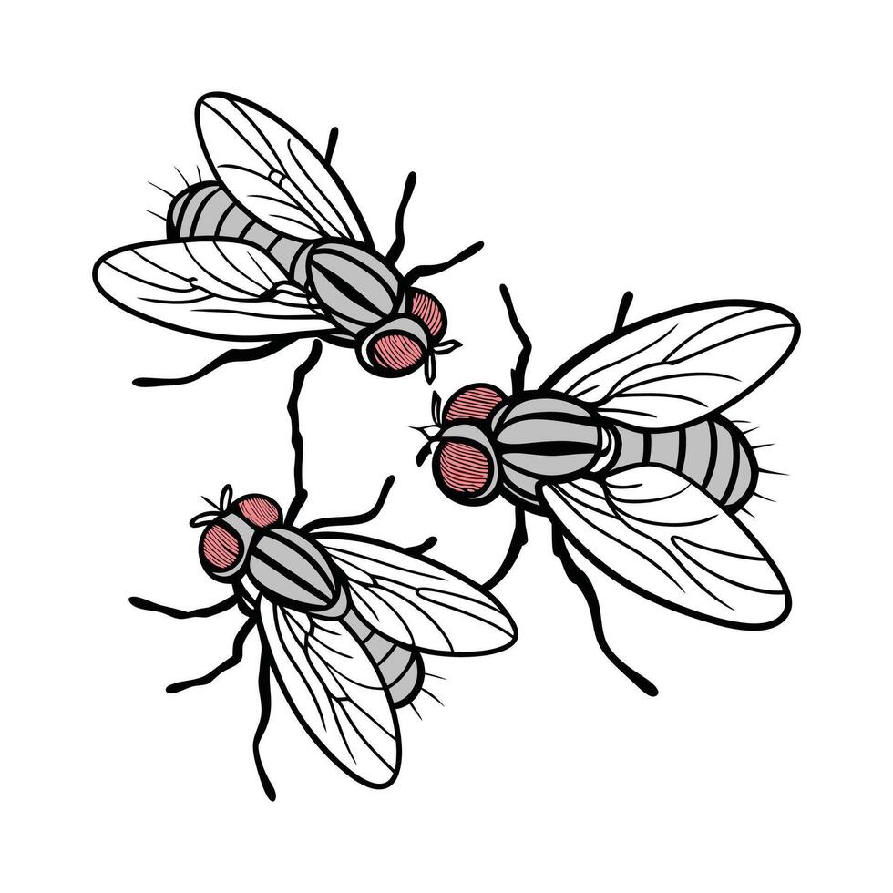 Display of House Flies on White Background vector