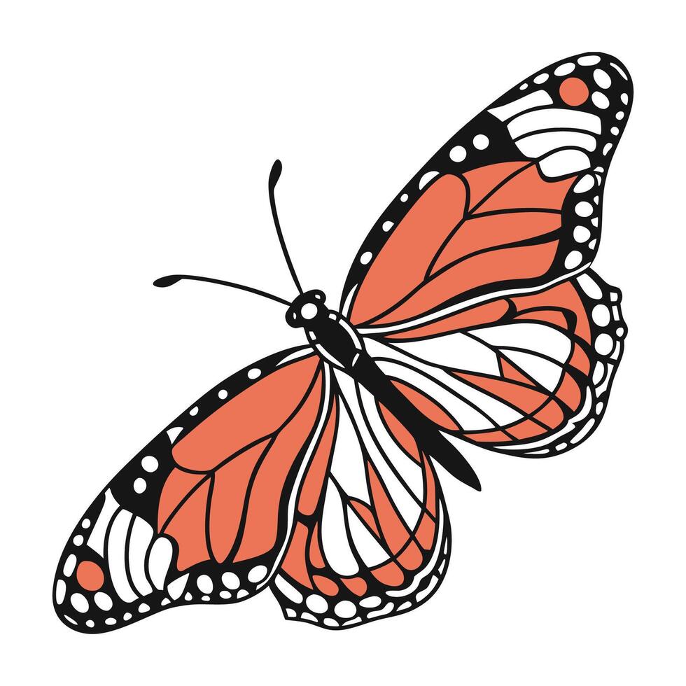 Hypomecis Roboraria Captured on White Surface vector