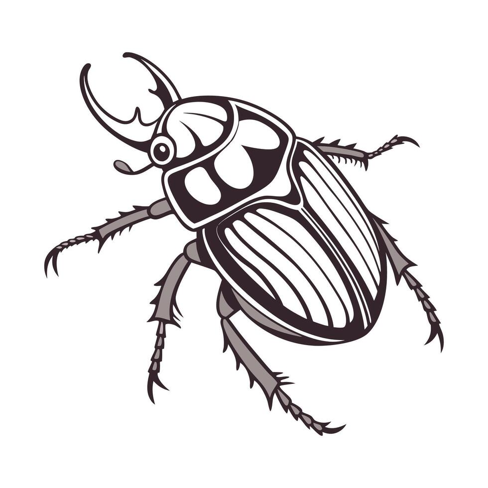 June Beetle Captured on Bright White Background vector