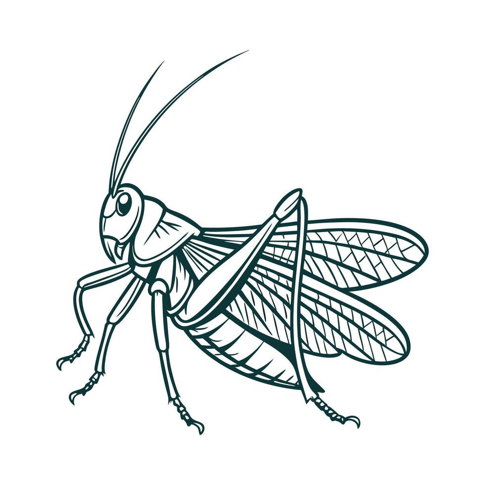 Dramatic Katydid on Bright White Surface vector