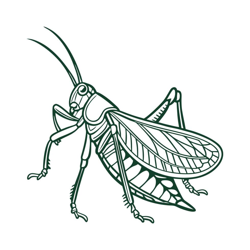 Detailed Katydid Art on White vector