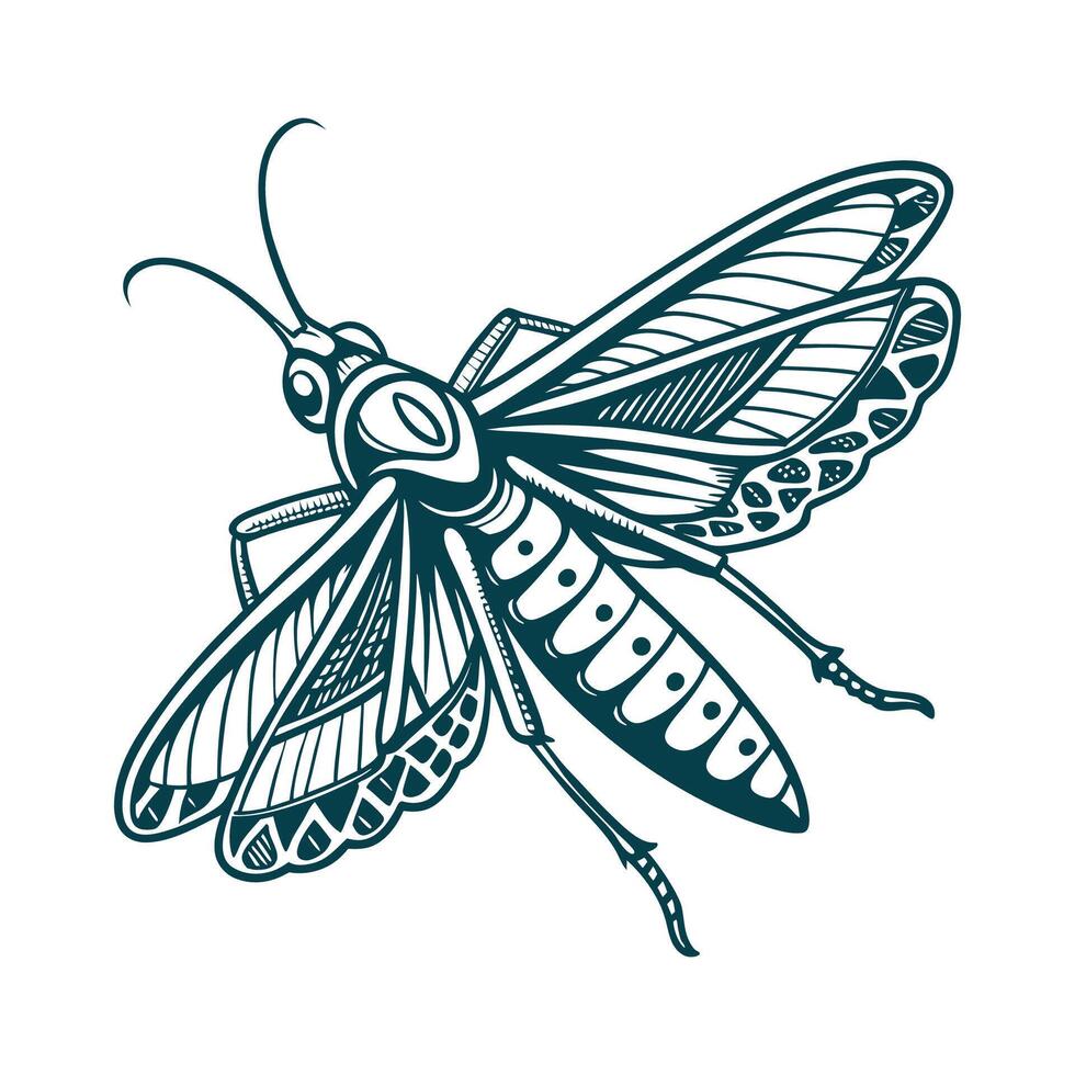 Realistic Katydid Illustration White vector
