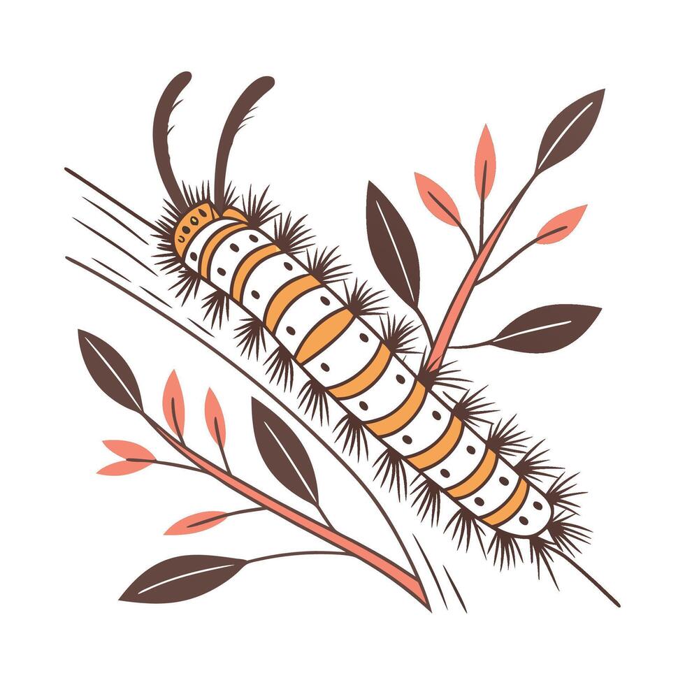 Lasiocampa Displayed on Bright White Background vector