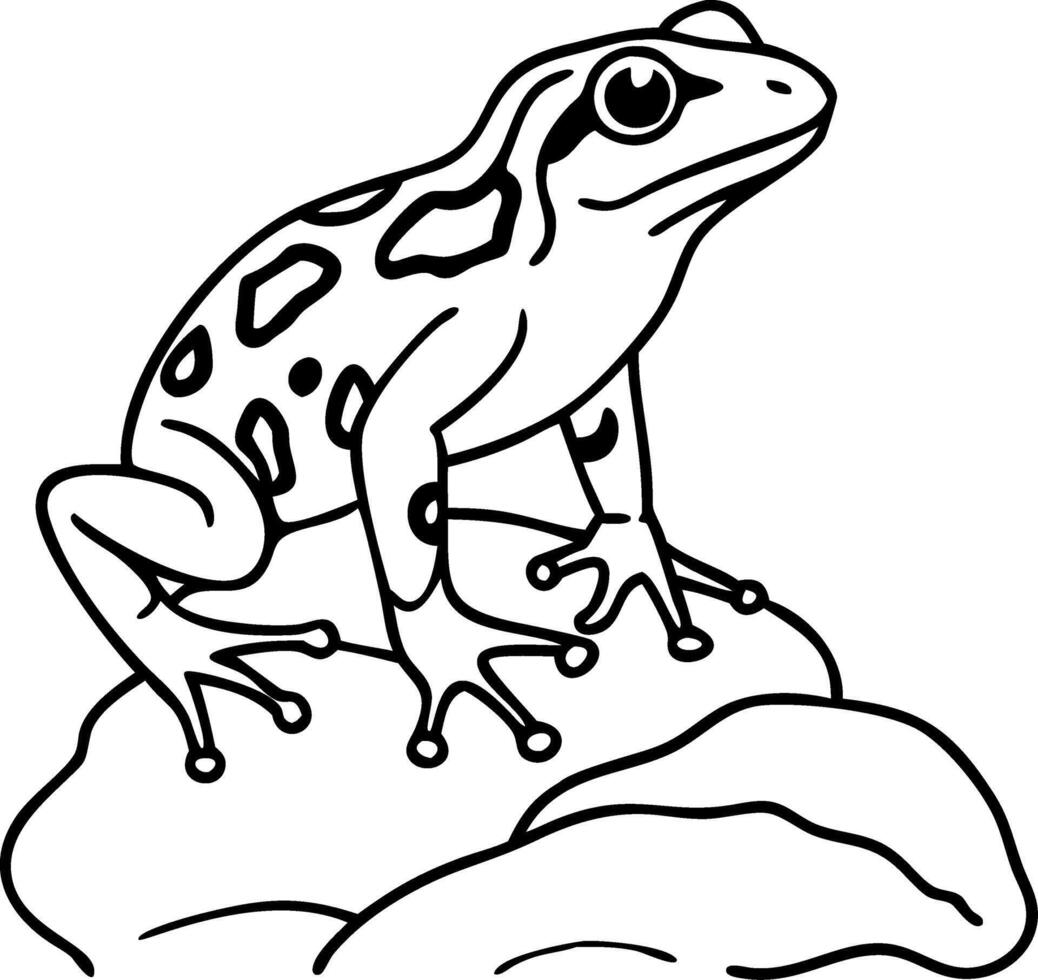 Detailed Outline of a Frog Sitting on a Rock Ideal for Nature Tattoos and Coloring Pages vector