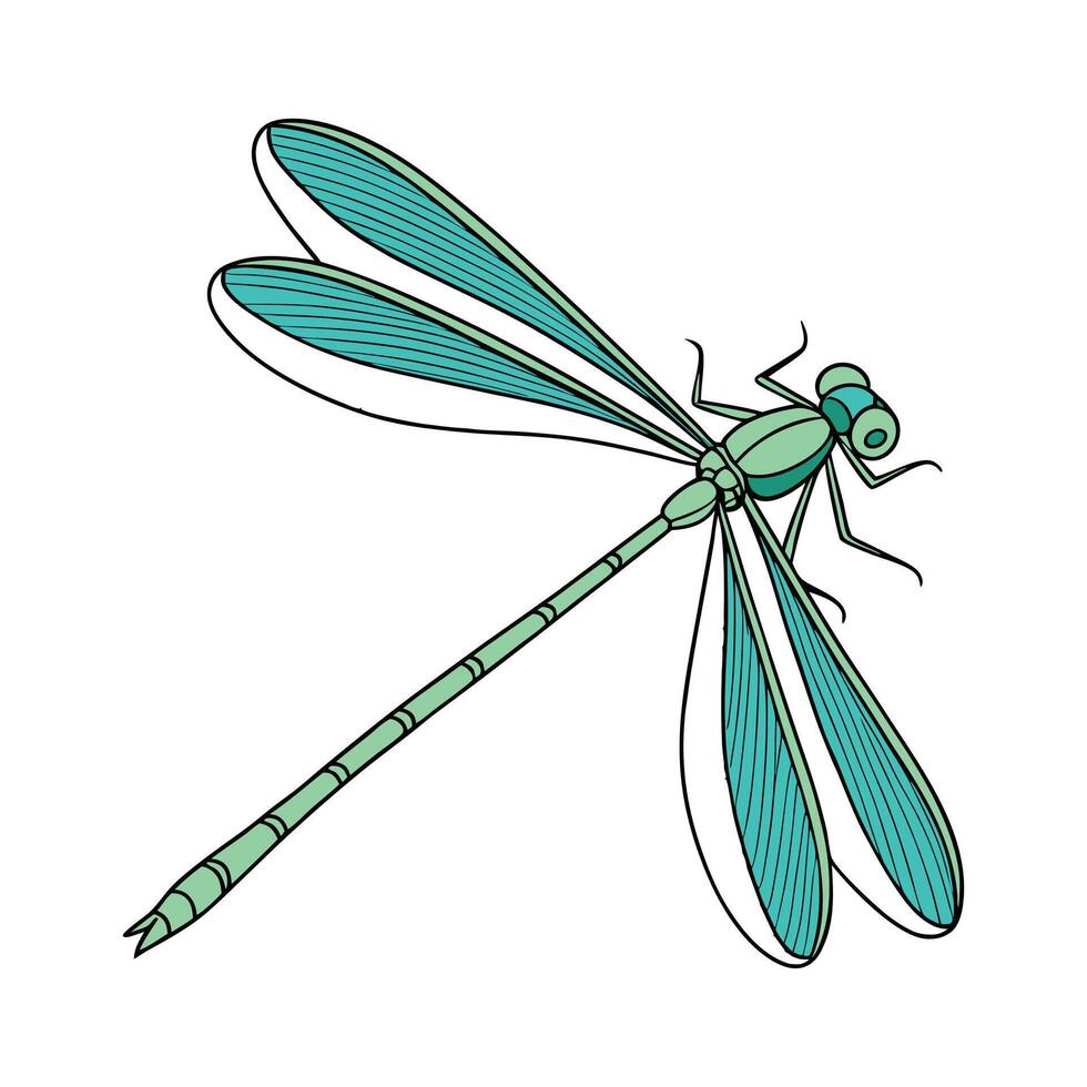 Lestes Viridis Featured Against White Surface vector