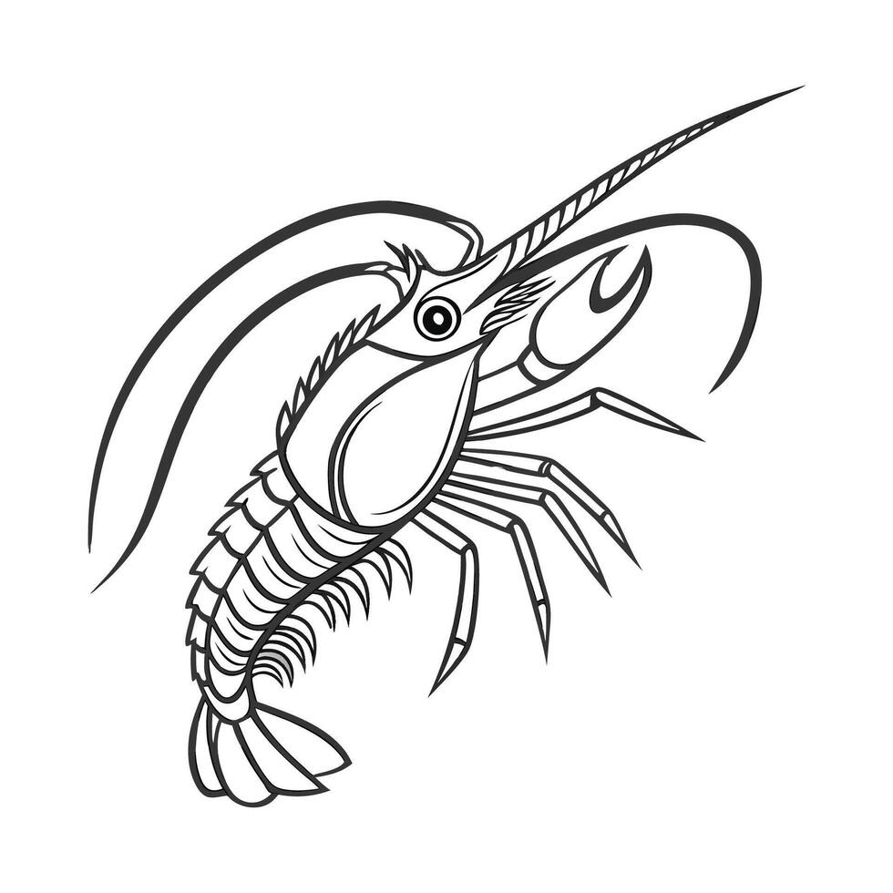 Lonchodes Brevipes Displayed on Clean White Surface vector