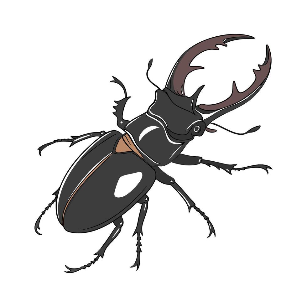 Display of Lucanus Cervus on White Surface vector