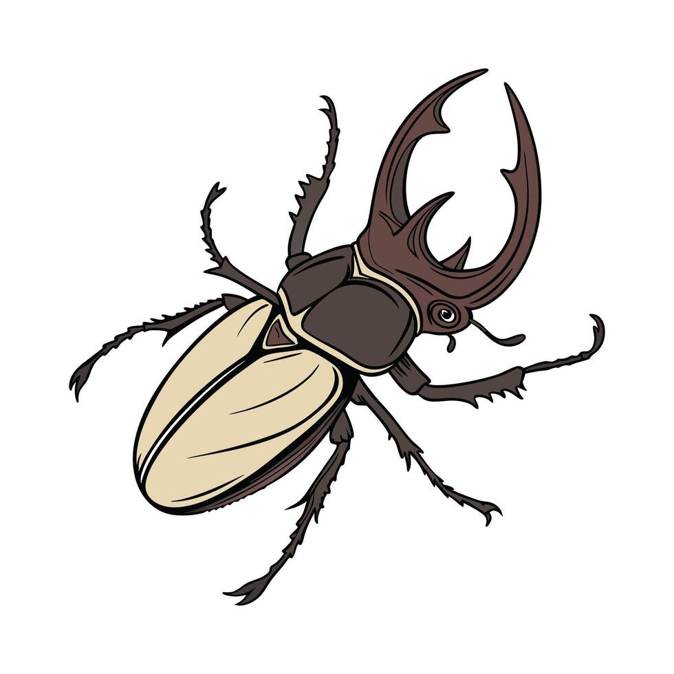 Megasoma Elephas on Bright White Background vector