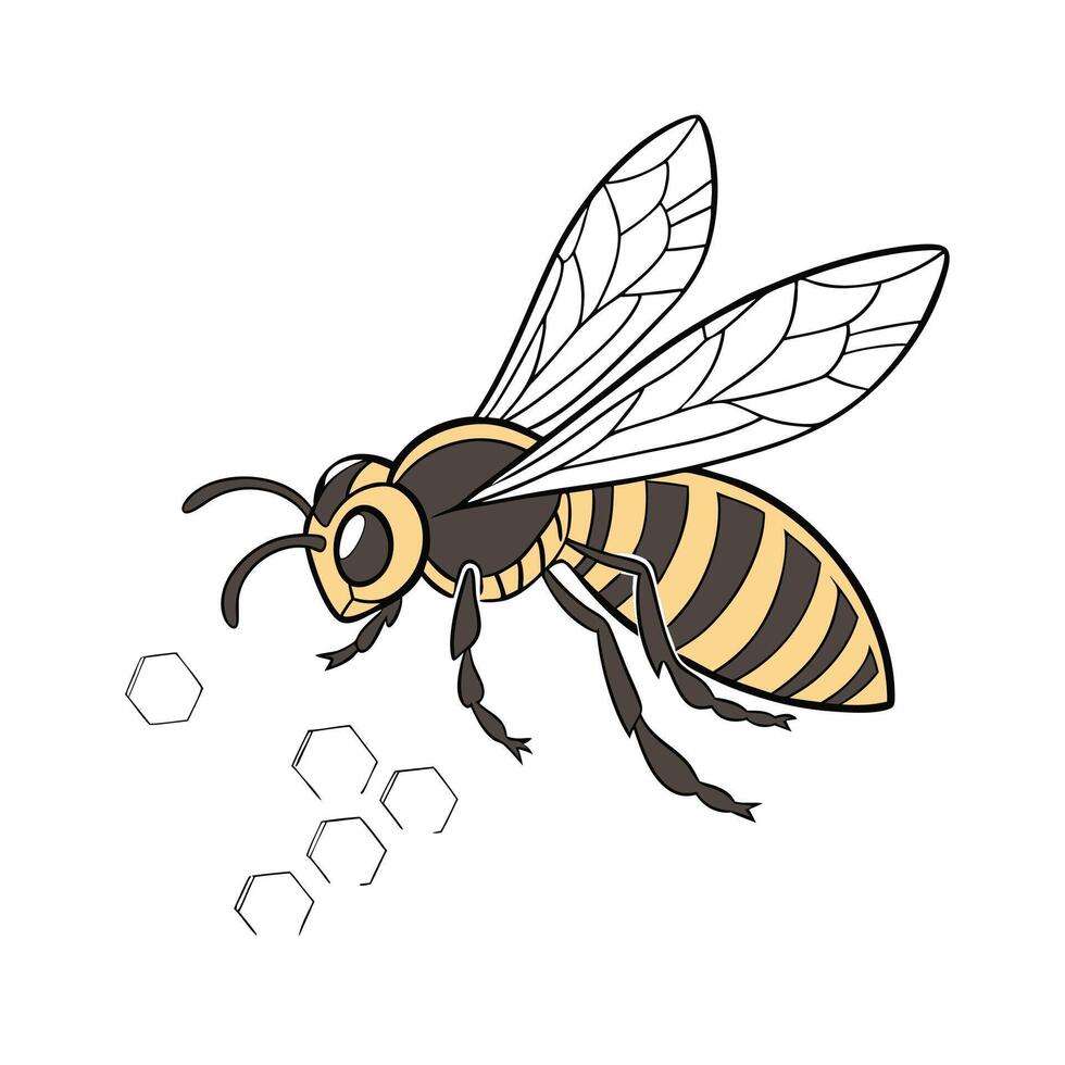 Melipona Displayed on Clean White Background vector