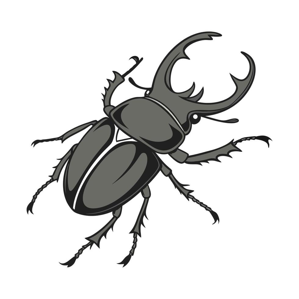 Midge Ant on Bright White Background vector
