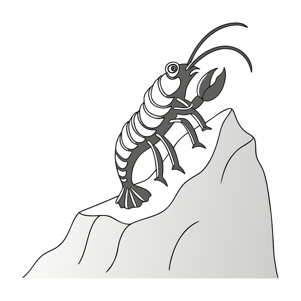 Display of Midge Ant on Clean White Surface vector